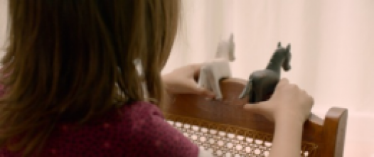 Filme PEDRA DE CAVALO