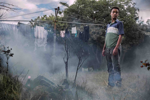 Filme ALL THESE CREATURES